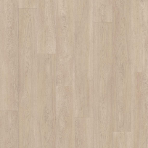 Plank Preception.png