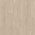 Plank Preception.png