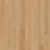 Plank Illusion.png
