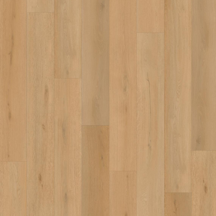 Plank Illusion.png