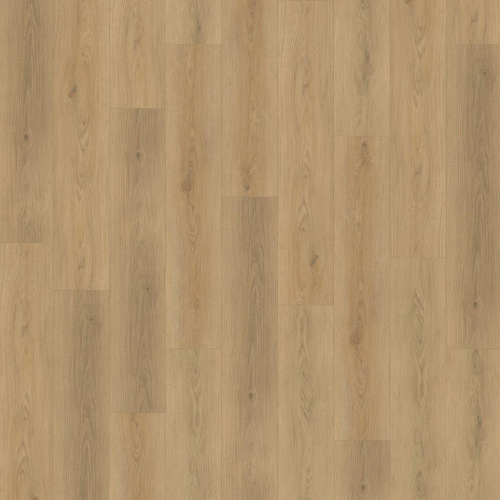 Hacienda Palomino.png