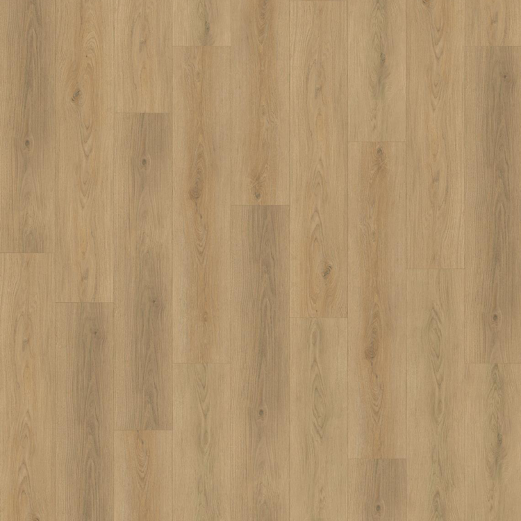 Hacienda Palomino.png